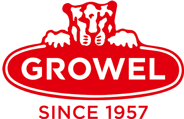 Berlin Partner